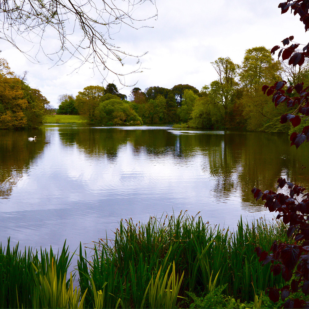 Bicton Park Botanical Gardens