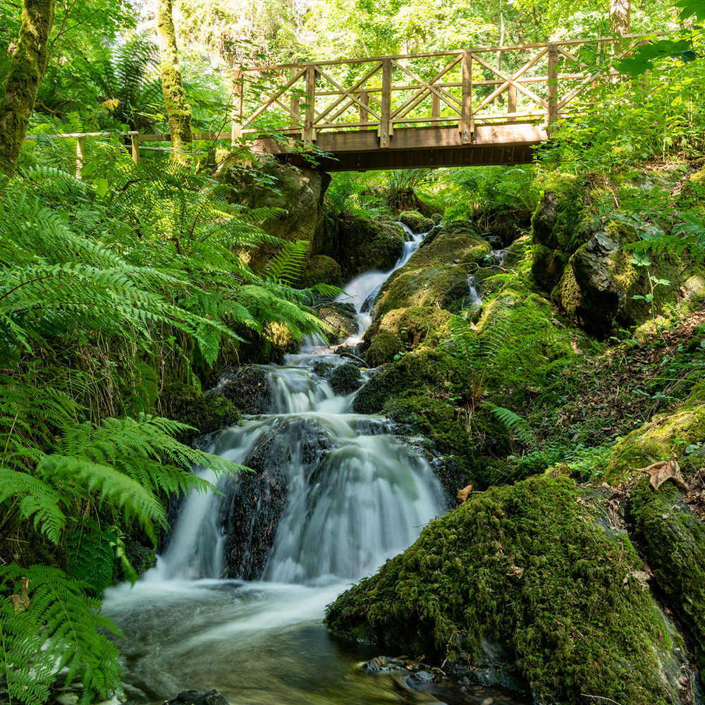 Canonteign Falls