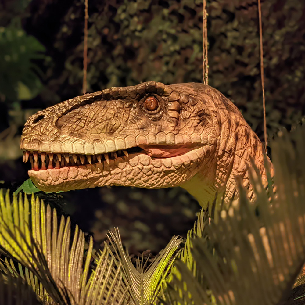 Jurassic Discovery