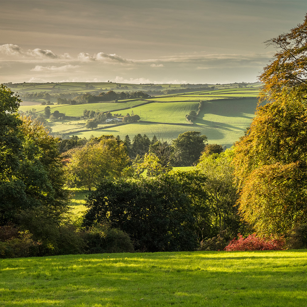 Killerton