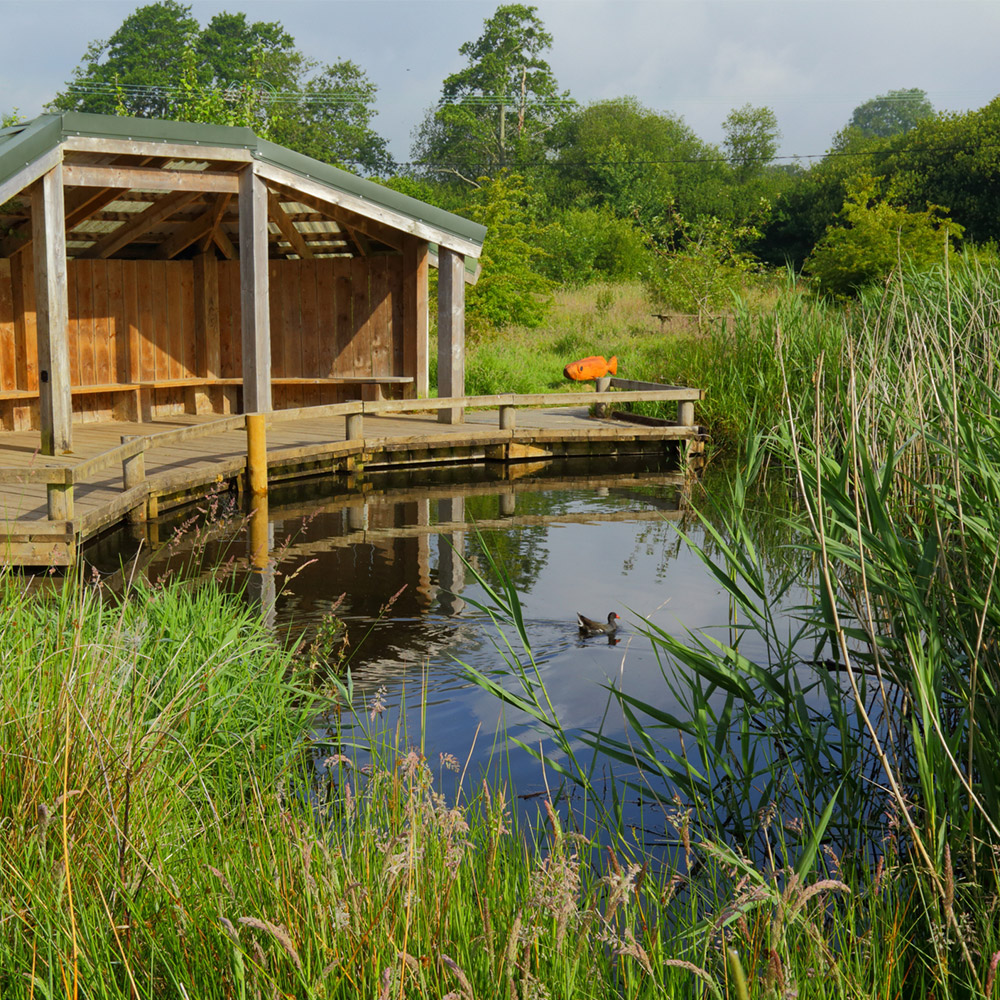 Seaton Wetlands