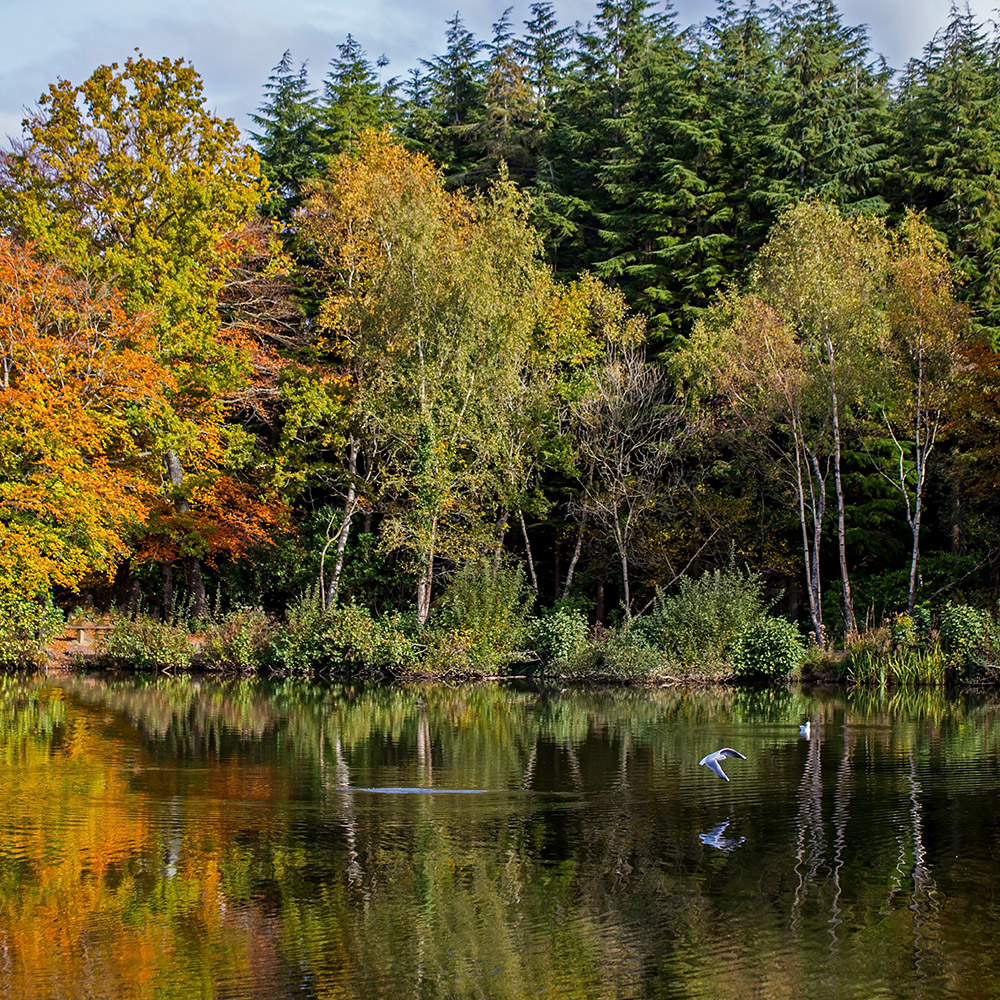 Stover Country Park