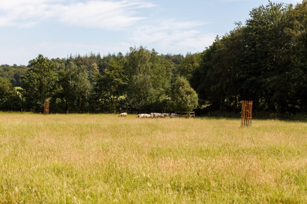 The_Granary_Larkbeare_Grange-16